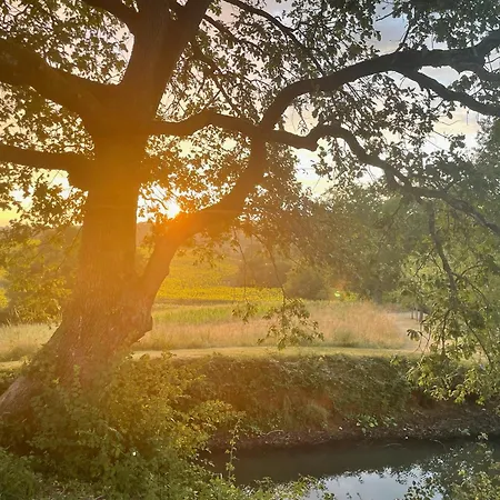 Refuge Champetre - Piscine Interieure - Detente * Salles (Lot-et-Garonne)