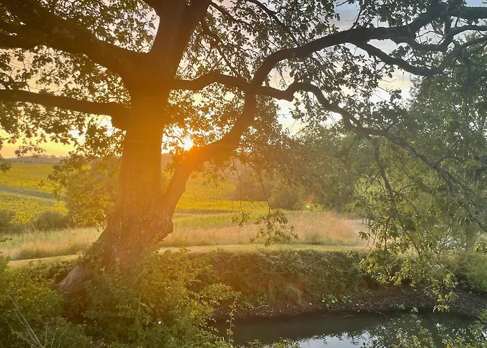 Refuge Champetre - Piscine Interieure - Detente * Salles (Lot-et-Garonne)